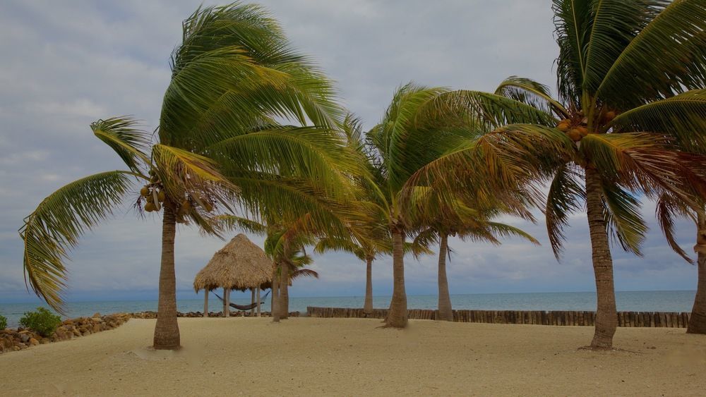 Hotel Royal Belize Thatch Caye Exteriér fotografie