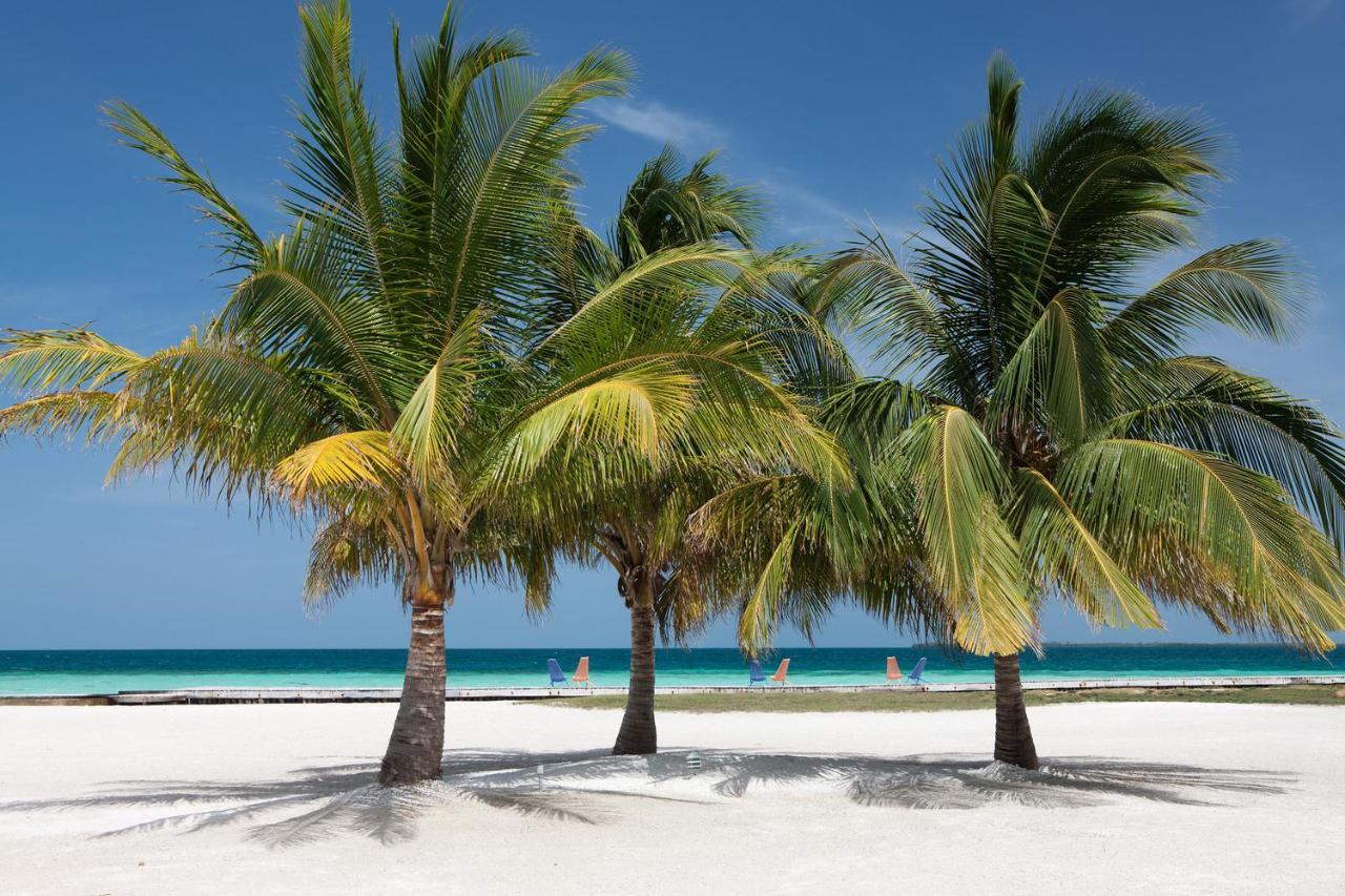 Hotel Royal Belize Thatch Caye Exteriér fotografie