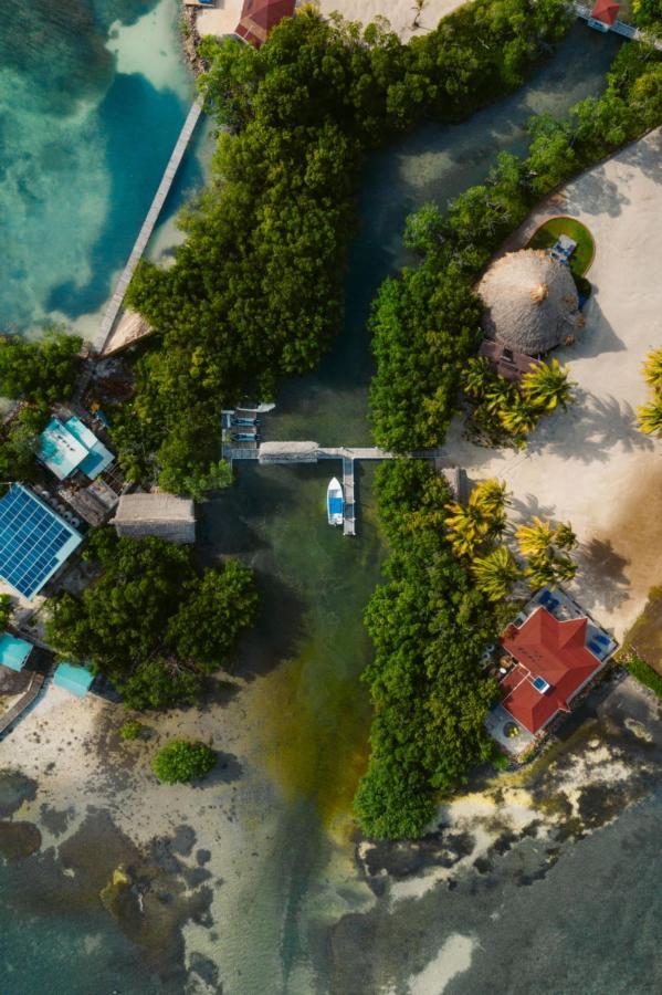 Hotel Royal Belize Thatch Caye Exteriér fotografie